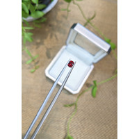 0.37 Ct. Red Spinel from Burma (Myanmar) Life Style
