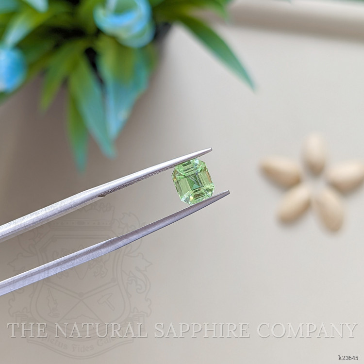 1.11 Ct. Green Grossular Garnet from Tanzania