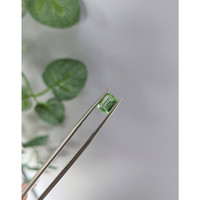 1.02 Ct. Green Grossular Garnet from Tanzania Life Style
