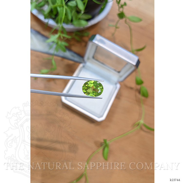 5.64 Ct. Yellowish Green Peridot from Burma (Myanmar)