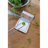 2.16 Ct. Yellowish Green Peridot from Burma (Myanmar) Life Style