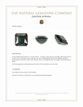 9.77 Ct. Green Tourmaline from Brazil Appraisal