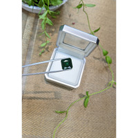 9.77 Ct. Green Tourmaline from Brazil Life Style