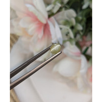 1.68 Ct. Greenish Yellow Cabochon Chrysoberyl from Ceylon (Sri Lanka) Life Style