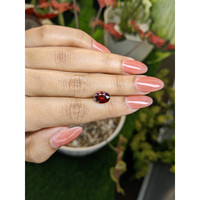 2.63 Ct. Red Garnet from Ceylon (Sri Lanka) Life Style