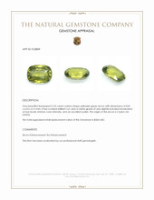 2.52 Ct. Yellowish Green Zircon from Ceylon (Sri Lanka) Appraisal