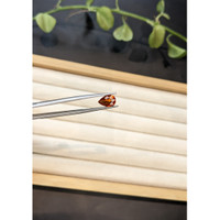 2.07 Ct. Orangish Red Spessartite Garnet from Namibia Life Style