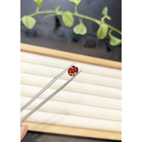 2.08 Ct. Orangish Red Spessartite Garnet from Namibia Life Style