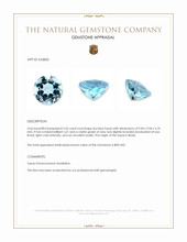 3.26 Ct. Sky Blue Topaz from Brazil Appraisal