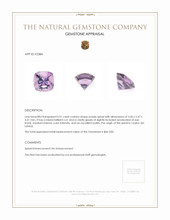 0.91 Ct. Spinel from Ceylon (Sri Lanka) Appraisal