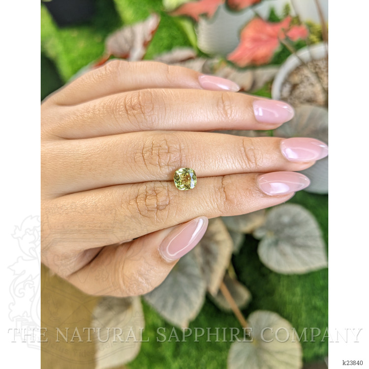 1.45 Ct. Greenish Yellow Chrysoberyl from Ceylon (Sri Lanka)
