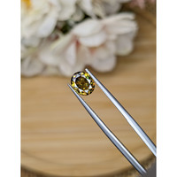 1.62 Ct. Greenish Brown Demantoid Garnet from Madagascar Life Style