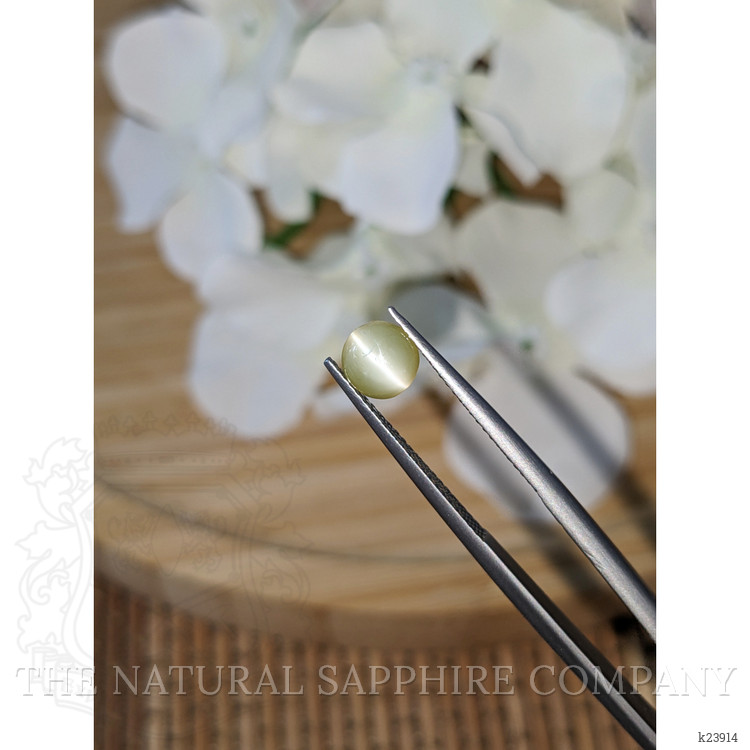 1.47 Ct. Yellow Cabochon Chrysoberyl from Ceylon (Sri Lanka)