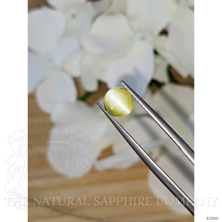 1.68 Ct. Brownish Yellow Cabochon Chrysoberyl from Ceylon (Sri Lanka)