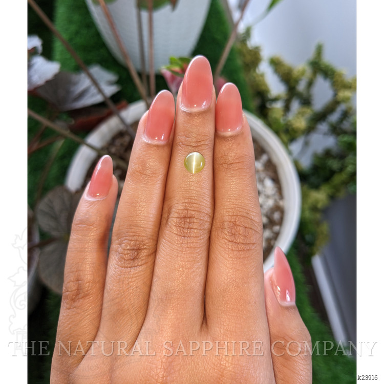 1.68 Ct. Brownish Yellow Cabochon Chrysoberyl from Ceylon (Sri Lanka)