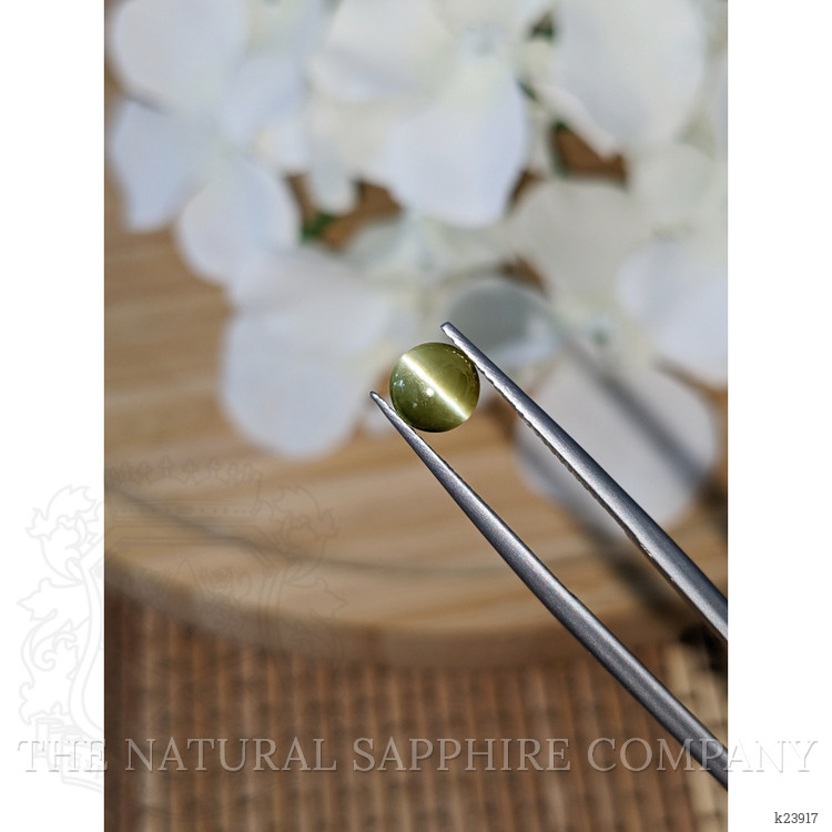 1.68 Ct. Green Cabochon Chrysoberyl from Ceylon (Sri Lanka)