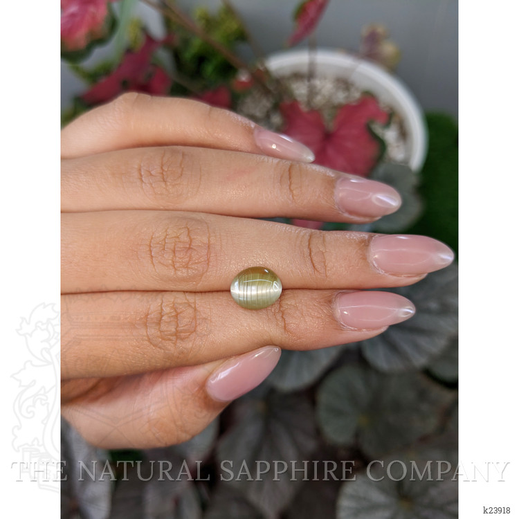 3.28 Ct. Yellow Cabochon Chrysoberyl from Ceylon (Sri Lanka)
