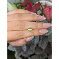 2.32 Ct. Yellowish Brown Cabochon Chrysoberyl from Ceylon (Sri Lanka) Life Style