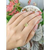 2.58 Ct. Brownish Yellow Cabochon Chrysoberyl from Ceylon (Sri Lanka) Life Style