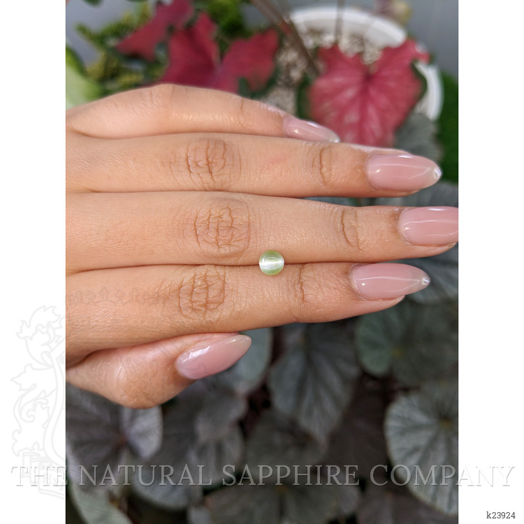 1.07 Ct. Green Cabochon Chrysoberyl from Ceylon (Sri Lanka)