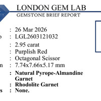 2.95 Ct. Pinkish Red Garnet from Tanzania Pdf