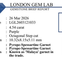 4.53 Ct. Pinkish Purple Garnet from Tanzania Pdf