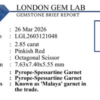 2.85 Ct. Pinkish Red Garnet from Tanzania Pdf