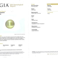3.52 Ct. Yellowish Green Tourmaline from Brazil Scan Report