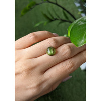 3.52 Ct. Yellowish Green Tourmaline from Brazil Life Style
