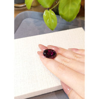 23.10 Ct. Purplish Red Garnet from Tanzania Life Style