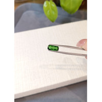 1.55 Ct. Green Tourmaline from Brazil Life Style