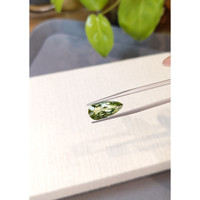4.65 Ct. Green Tourmaline from Brazil Life Style