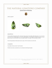 3.99 Ct. Green Tourmaline from Brazil Appraisal