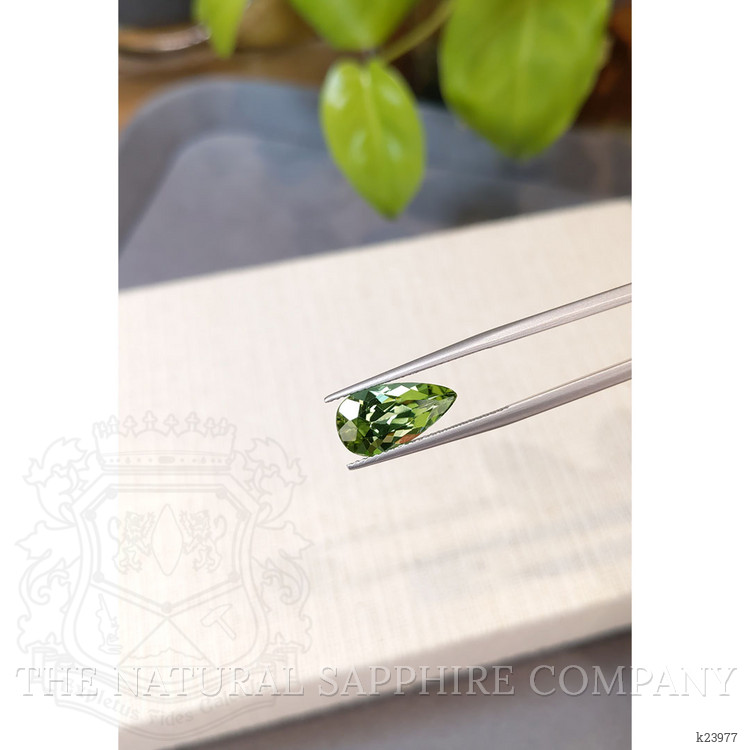 3.99 Ct. Green Tourmaline from Brazil