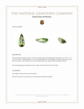 3.39 Ct. Green Tourmaline from Brazil Appraisal