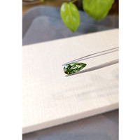 3.39 Ct. Green Tourmaline from Brazil Life Style
