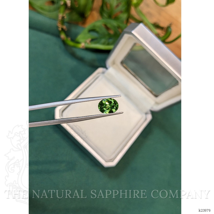 1.50 Ct. Green Tourmaline from Brazil