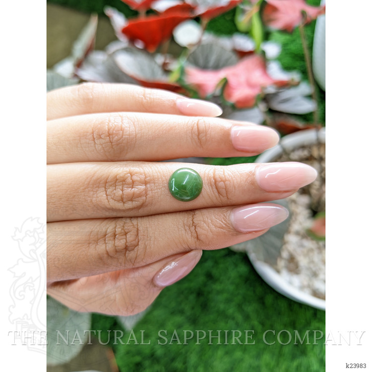 3.50 Ct. Green Cabochon Jade from Burma (Myanmar)
