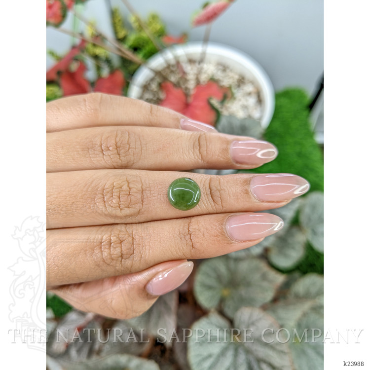 3.51 Ct. Green Cabochon Jade from Burma (Myanmar)