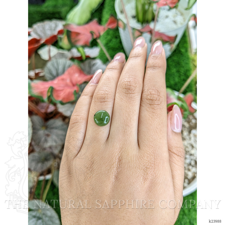 3.51 Ct. Green Cabochon Jade from Burma (Myanmar)