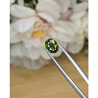 2.03 Ct. Green Tourmaline from Ceylon (Sri Lanka) Life Style