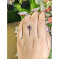 3.34 Ct. Red Garnet from Ceylon (Sri Lanka) Life Style