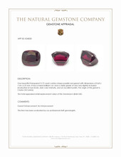 3.72 Ct. Purplish Red Garnet from Ceylon (Sri Lanka) Appraisal