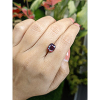 3.72 Ct. Purplish Red Garnet from Ceylon (Sri Lanka) Life Style