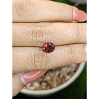 2.03 Ct. Red Garnet from Ceylon (Sri Lanka) Life Style