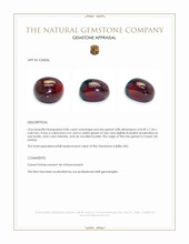 3.86 Ct. Red Cabochon Star Garnet from Ceylon (Sri Lanka) Appraisal