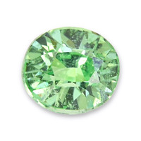 0.61 Ct. Tsavorite Garnet from Tanzania Video