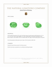 0.99 Ct. Tsavorite Garnet from Tanzania Appraisal
