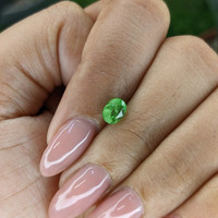 0.99 Ct. Tsavorite Garnet from Tanzania Life Style