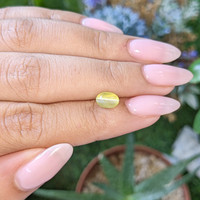 1.63 Ct. Greenish Yellow Cabochon Chrysoberyl from Madagascar Life Style